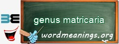 WordMeaning blackboard for genus matricaria